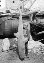 Boy with a caught blue shark (Carcharhinus glaucusi), harbour, ca. 1920, Portugal