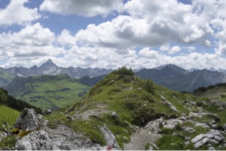Mountain panorama from the Koblat high trail on the Nebelhorn over the Obertal valley with lush