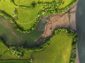 Top Down over Marshes over River Dart from a drone, Stoke Gabriel, Totnes, Devon, England, United