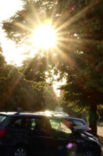 Sun in summer, parked cars, Germany