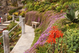 Minack Theatre, spectacular open-air theatre, circular path with lush planting, South England,