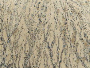 Arid desert plain and dried-up riverbeds with sparse vegetation. Aerial view. Drone shot. Namibia