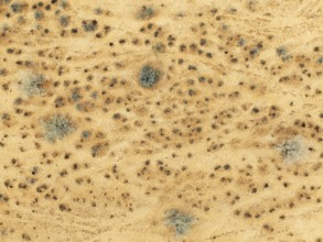 Dried-up river bed with sparse vegetation. Aerial view. Drone shot. Gondwana Canyon Park. Namibia