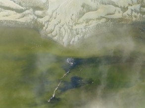 Low tide patterns, Greater Flamingos (Phoenicopterus ruber) and some coastal fog at the Walvis Bay