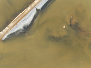 Salt road and Greater Flamingos (Phoenicopterus ruber) at the Walvis Bay Lagoon. Aerial view. Drone