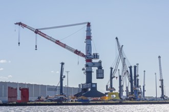 Overseas harbour, Liebherr-MCCtec, heavy-duty crane TCC 78000, Warnemünde, Rostock,
