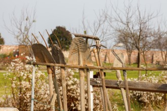 Garden and garden tools on the island of Mazzoboro, Venice, Veneto, Italy