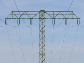 An osprey nest on a power pole, Mecklenburg-Western Pomerania, Müritz region, Germany