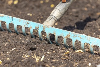 A metal rake works garden soil
