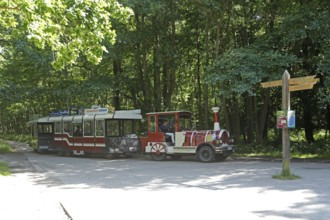 Bimmelbahn, Darßbahn, Darßer Ort stop, Born a. Darß, Vorpommersche Boddenlandschaft National Park,
