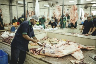 Market hall, section of camel butchers, Salalah, Dhofar, Oman