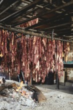Traditional camel restaurant in Salalah, Dhofar, Oman