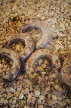 Traditional camel restaurant in Salalah, camel sausages on the grill, Dhofar, Oman