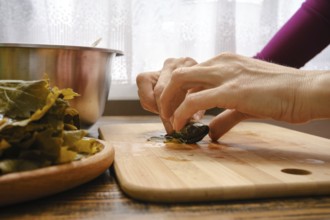Hands delicately wrap seasoned filling in grape leaves on a wooden cutting board. Fresh ingredients