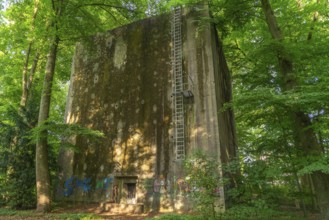 Mossy air-raid shelter on the eastern edge of the Bürgerpark on Parkallee, built during the Nazi