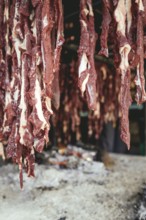 Traditional camel restaurant in Salalah, Dhofar, Oman