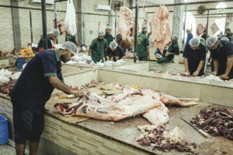 Market hall, section of camel butchers, Salalah, Dhofar, Oman