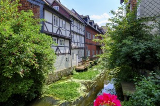 Little Venice, historic canals, on the River Oker, Wolfenbüttel, Lower Saxony, Germany