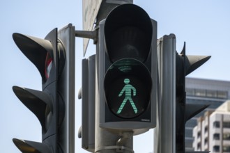 Pedestrian traffic light green, Abu Dhabi, United Arab Emirates