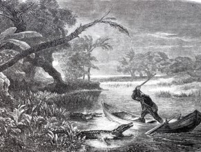 Man in a rowing boat strikes an attacking crocodile with a stick, 1880, Brazil, digitally enhanced
