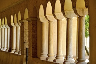 Romanesque columns, double columns in the cloister, Gothic basilica of the Cistercian Abbey of