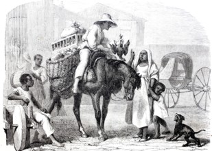 A fruit and poultry merchant in Cuba in 1870, digitally enhanced reproduction from a 19th century