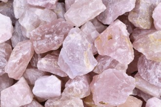 Close up of raw large rose quartz crystals. Natural pink gemstone chunks used for healing or