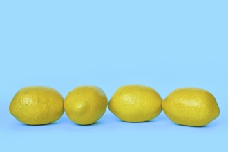 Four lemon fruits on blue background with copy space
