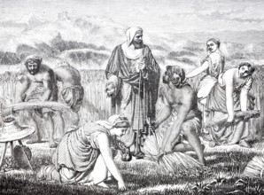 Biblical story, Ruth and Boaz as reapers, grain harvest, Ruth throws herself humbly to the ground
