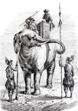 War elephant in India, 1870, power element of the Asian armies, digitally enhanced reproduction