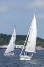 Sailing boats, Kieler Woche, Kiel Fjord, Kiel, Schleswig-Holstein, Germany