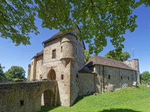 Dringenberg Castle is a medieval hilltop castle in Dringenberg in the district of Höxter. It was