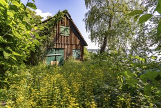 Abandoned hut on the Prinzeninsel in the GroÃŸer Plöner See near Plön, Schleswig-Holstein, Germany
