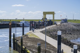 Jetty, harbour, Nordstrand, North Frisia, North Sea, Schleswig-Holstein, Germany
