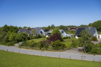 Detached houses in the countryside by the dyke, Tammensiel, Pellworm Island, North Sea, North