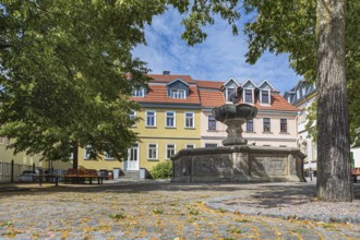 Hennebrunnen fountain on the market square in Ilmenau, Thuringia, Germany