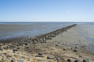 Wadden Sea at low tide, groynes, breakwater, Schleswig-Holstein Wadden Sea National Park, Pellworm