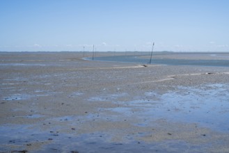 Wadden Sea at low tide, Schleswig-Holstein Wadden Sea National Park, Pellworm Island, North Frisia,