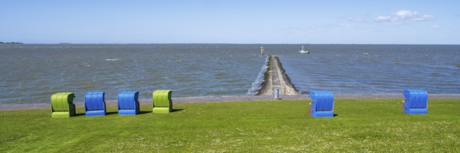 Beach chairs on a blooming meadow on the North Sea coast, GrÃ¼nstrand, Pellworm Island, North Sea,