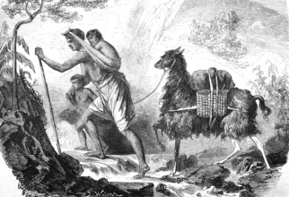 Farmer with children and a llama as a beast of burden, travelling in the mountains, Andes, South