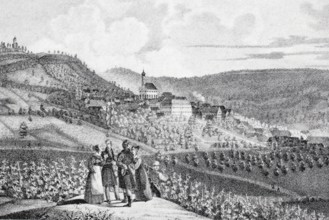 Castell Castle in the Middle Ages, district of Kitzingen, Lower Franconia, Bavaria, Germany,