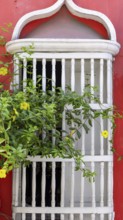 Olorful streets of Cartagena in historic Getsemani district near Walled City, Ciudad Amurallada