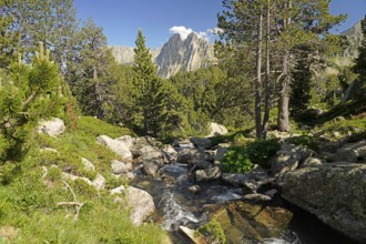 River in the AigÃ¼estortes i Estany de Sant Maurici National Park, Catalonia, Spain