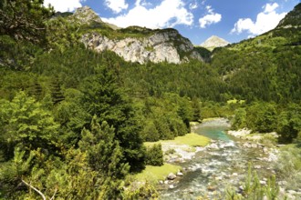 The River Ara in the Bujaruelo Valley or Valle de Bujaruelo near Torla-Ordesa, Spain