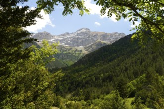 Mountain landscape in the Bujaruelo Valley or Valle de Bujaruelo near Torla-Ordesa, Spain