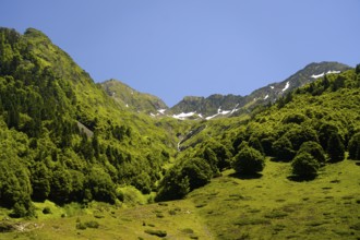 Mountain landscape of the Pyrenees near Laruns, Pyrénées-Atlantiques, France