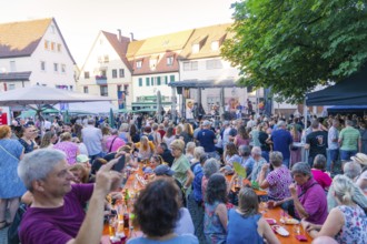 Large crowd enjoying an outdoor concert with seats and surrounding houses, 950 years Weil der Stadt