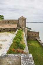 Castle Fouras, Fouras-les-Bains, Charente-Maritime, Nouvelle-Aquitaine, France