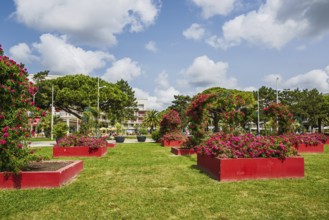 Royan, Nouvelle-Aquitaine, Charente-Maritime, France