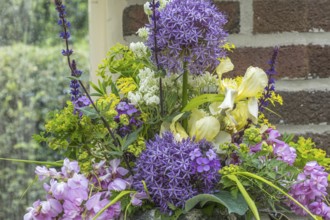 Bouquet with allium, iris and robinia, North Rhine-Westphalia, Germany